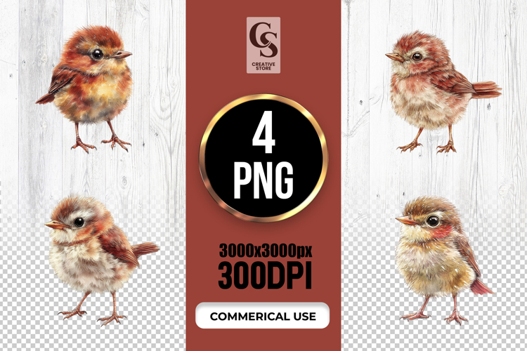 Watercolor Baby Bird Clipart Sublimation PNG