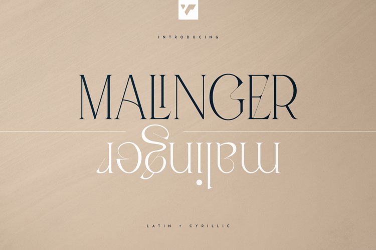 Malinger - Elegant Serif Font example image 1