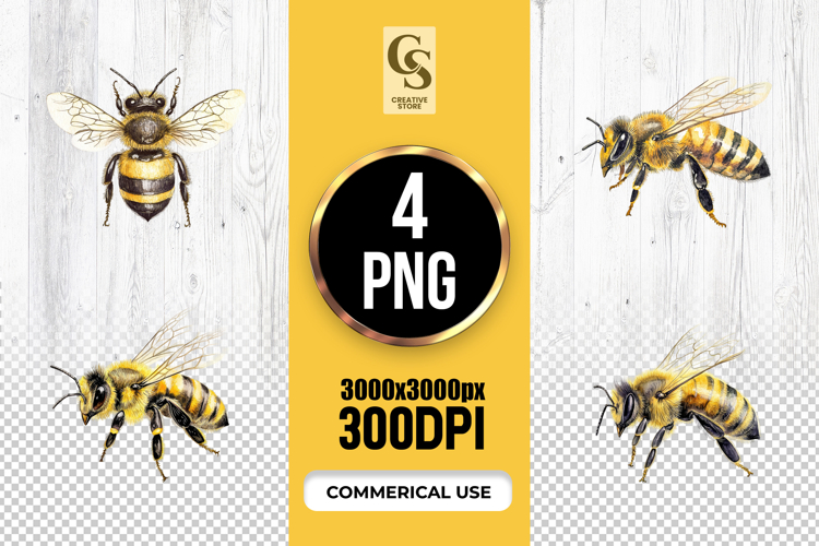 Honey Bee Clipart Image 3