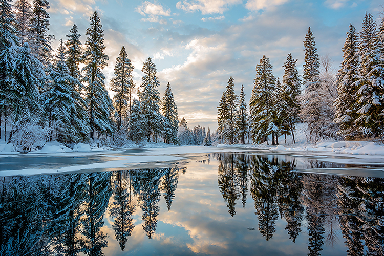 A serene winter landscape with snow-covered trees reflected