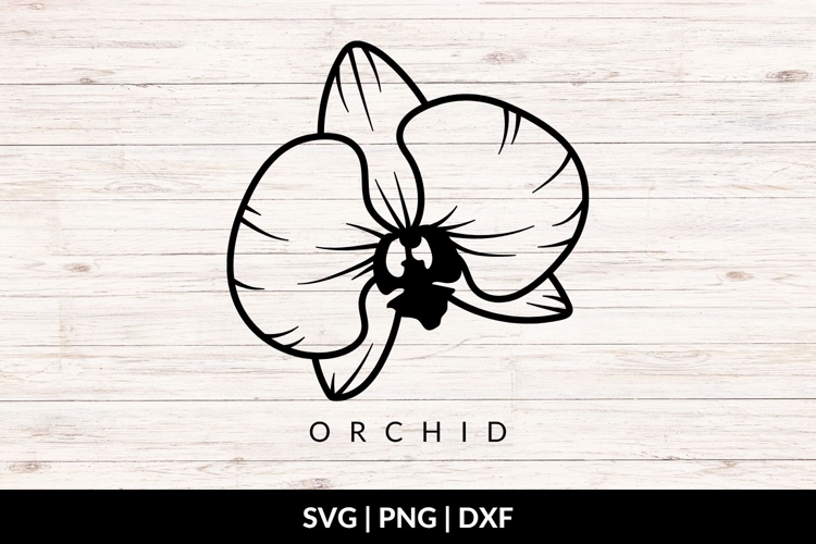 Orchid Flower SVG