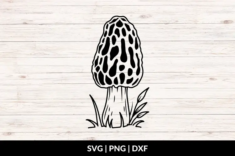Botanical Mushroom SVG, PNG, DXF