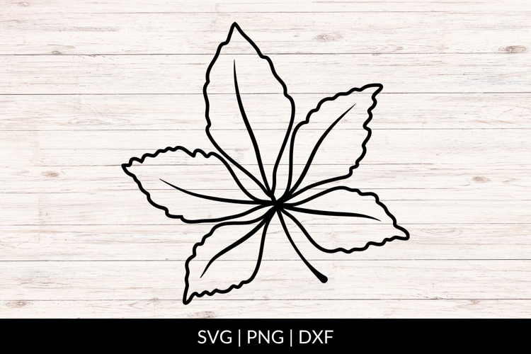 Autumn Leaf Svg Image 11