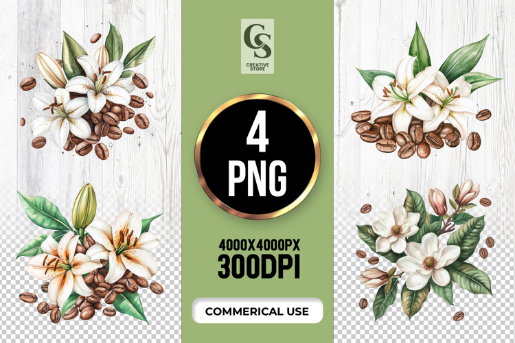 Coffee Plant Illustration