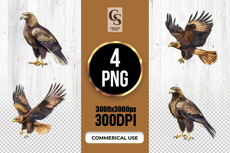 Golden Eagle Bird Illustration Clipart Sublimation PNG