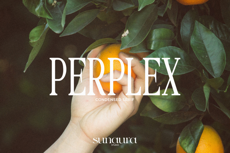 PERPLEX - Condensed Serif Typeface