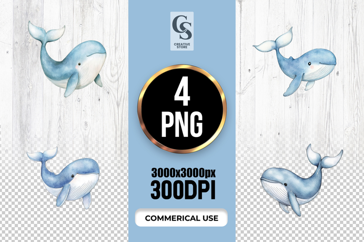 Ocean Illustration Image 17