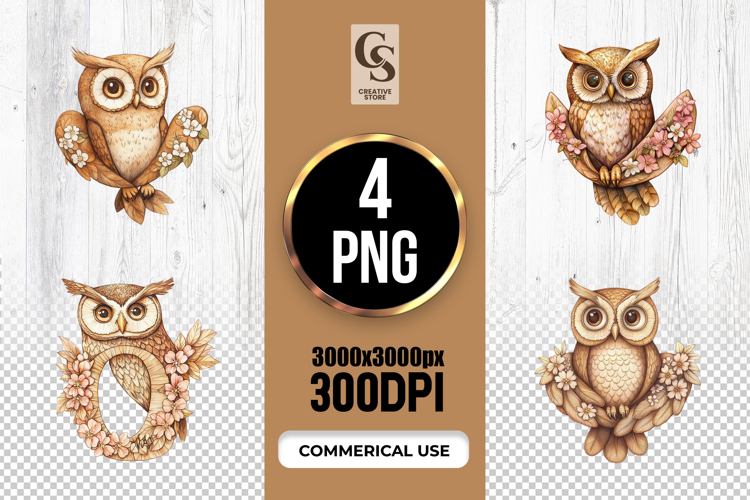 Owl Png Image 24