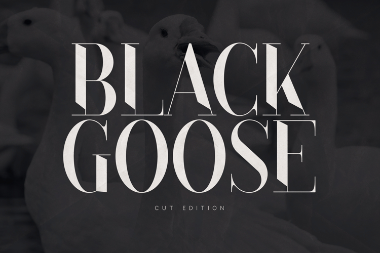 Branding Font Image 6