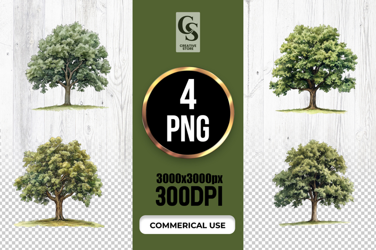 Watercolor Tree Illustration Clipart Sublimation PNG