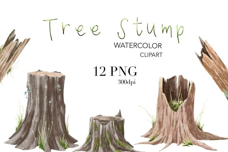 Tree Stump Watercolor Clipart Forest