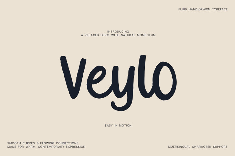 Veylo Fluid Handwritten Font example image 1