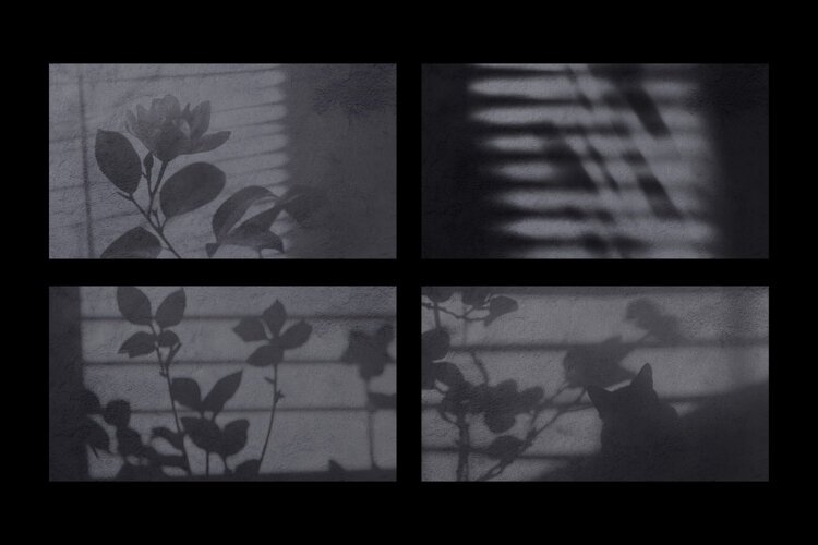Botanical Blinds Shadow Overlays example image 1