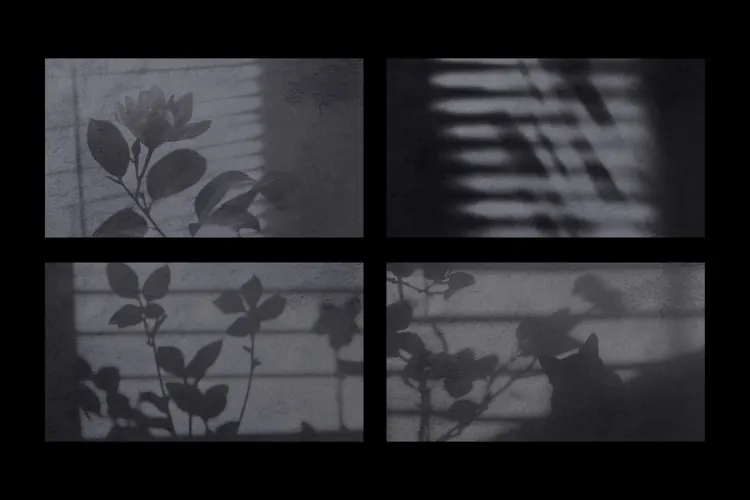 Botanical Blinds Shadow Overlays