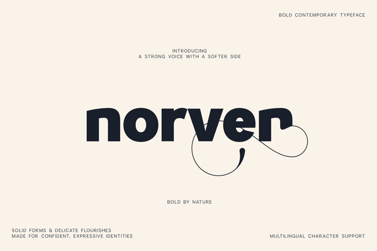 Norven Chunky Modern Font for Logos and Branding example image 1