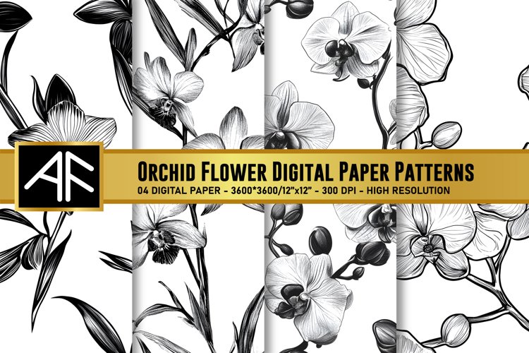Orchid Clipart Image 8