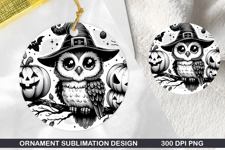 Owl Clipart Image 20