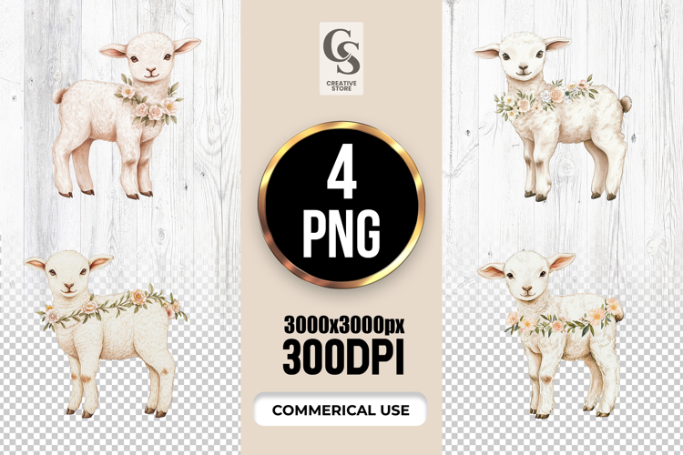 Lamb Illustration Image 21