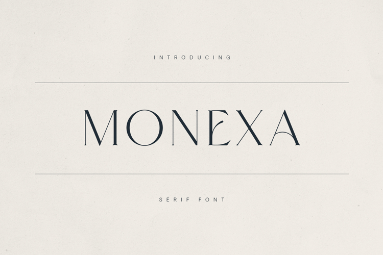 Modern Serif Font Image 11