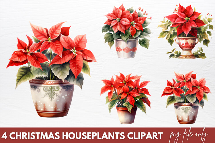 Christmas Houseplants Clipart PNG example image 1