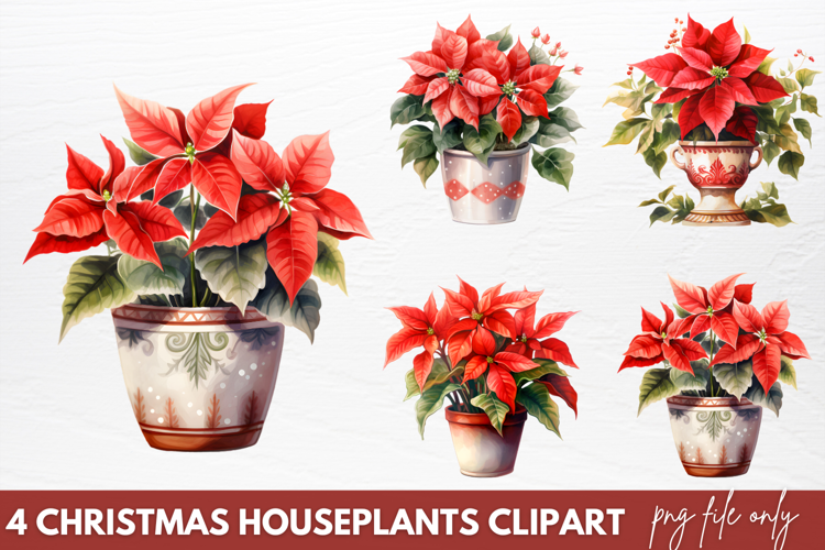 Christmas Houseplants Clipart PNG