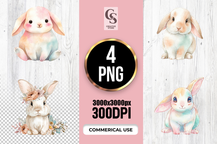 Rabbit Illustration Image 21