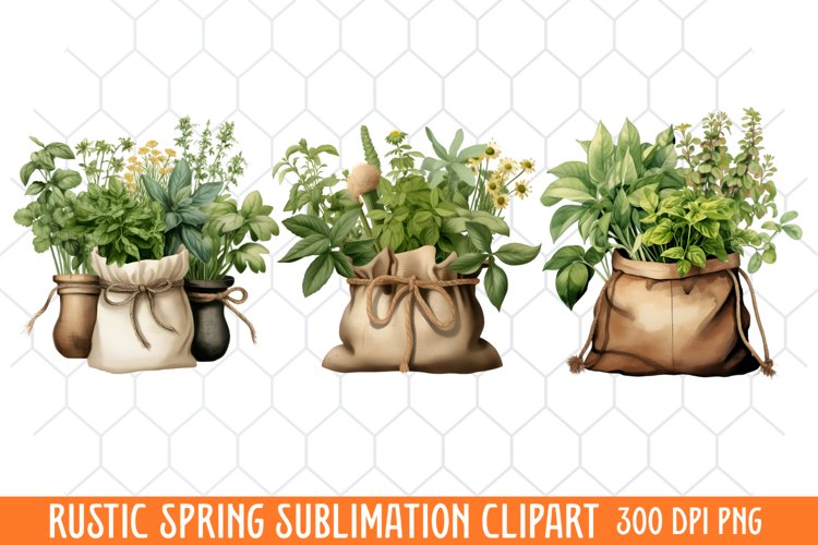 Spring Clipart Image 13