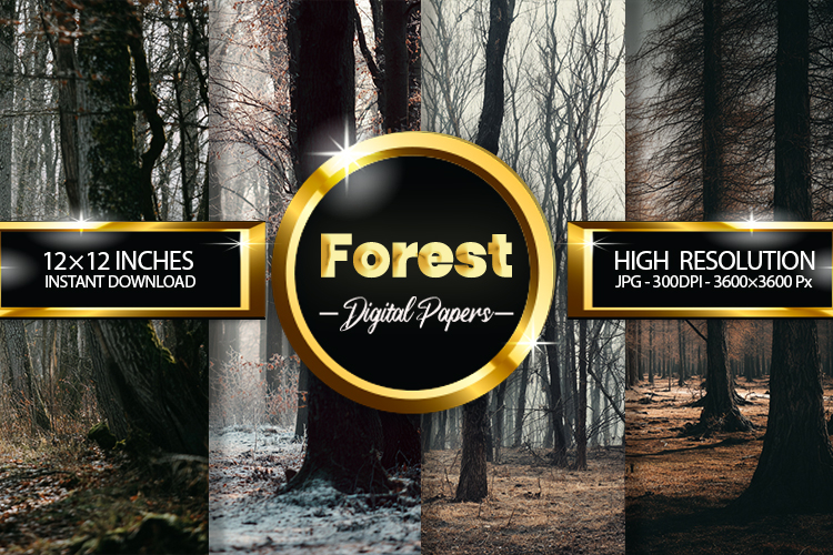 Forest Clipart Image 8