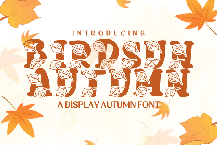Birdsun Autumn - A Cozy Whimsical Display Font