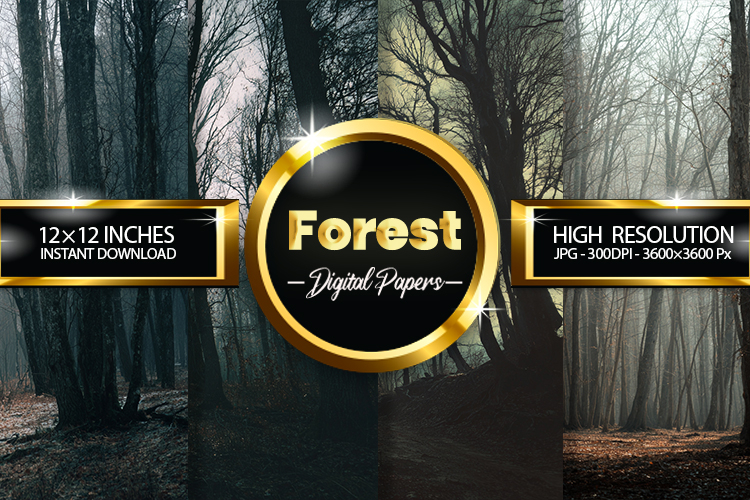 Forest Clipart Image 24