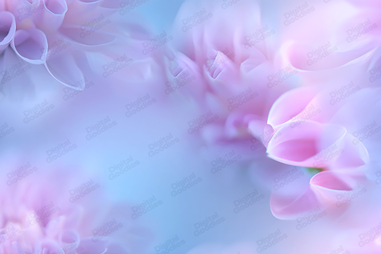 Pastel Pink Background Image 4