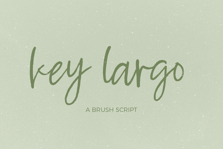 Brush Script Font Image 16
