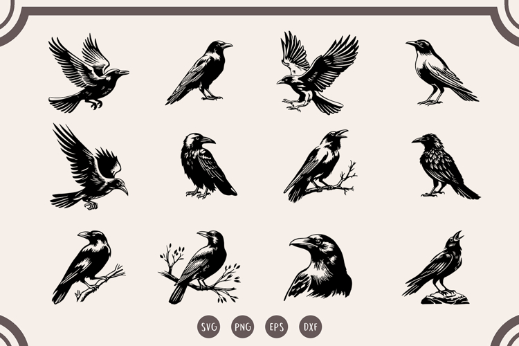 Raven svg Bundle, Halloween Crow, Dark Gothic Bird svg
