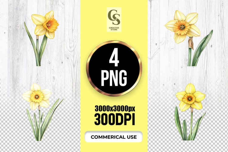 Daffodil Illustration Image 4