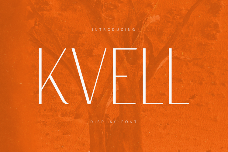 Display Font Image 7