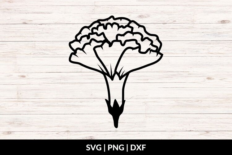 Carnation Flower SVG, PNG, DXF example image 1