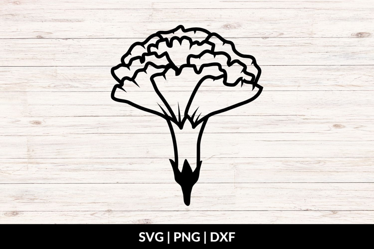 Carnation Flower SVG, PNG, DXF