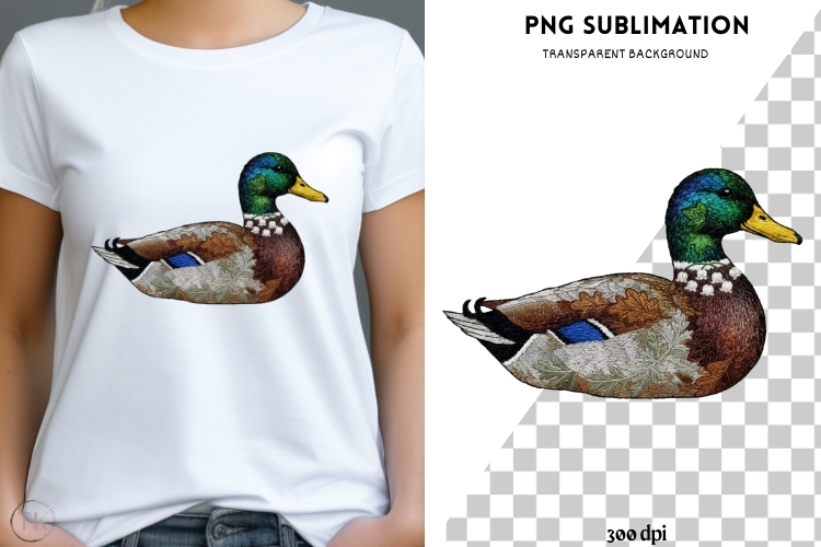 Nature Clipart