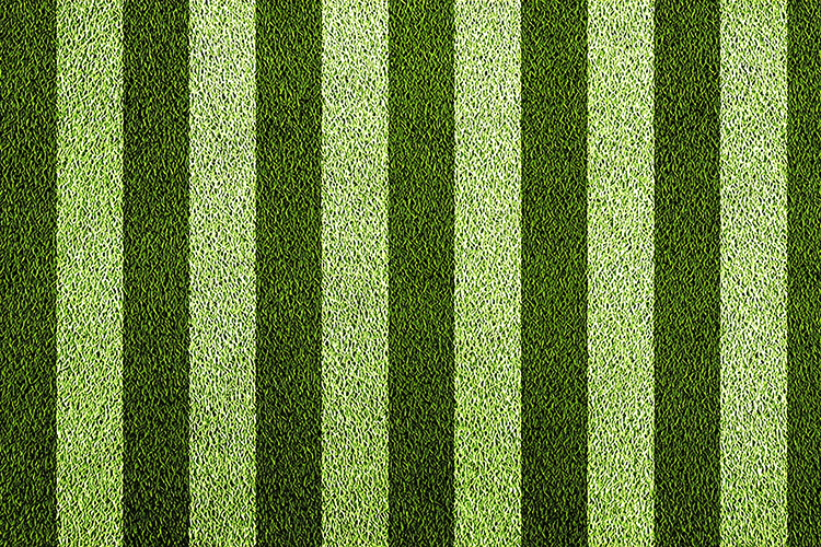 Striped Green Grass Texture Background JPG File