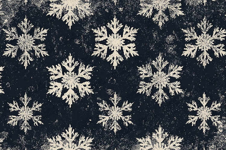 Snow Texture Image 19