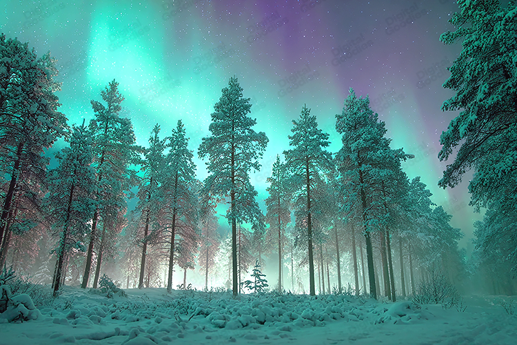 Winter Forest Under Turquoise Aurora Borealis Sky