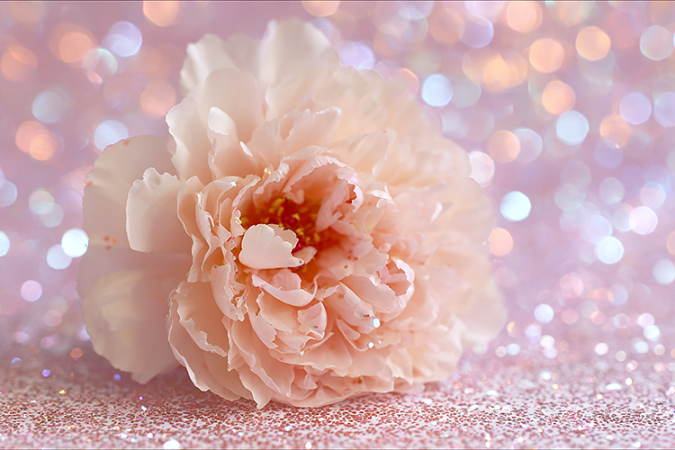 A sparkling pink and gold glitter background