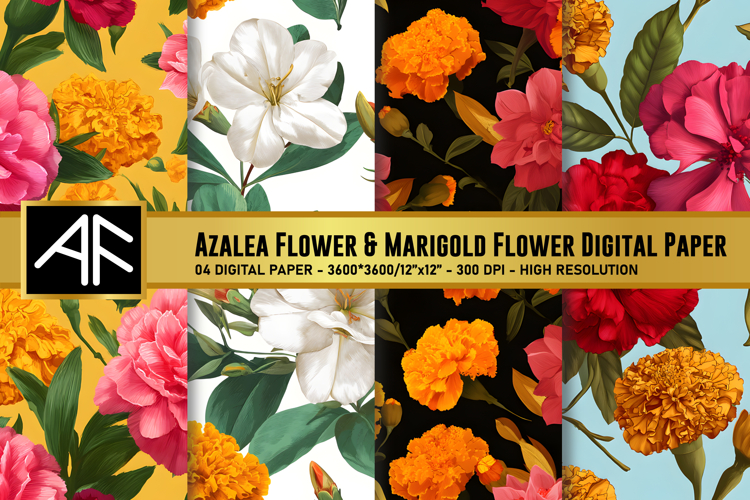 Marigold Clipart Image 14