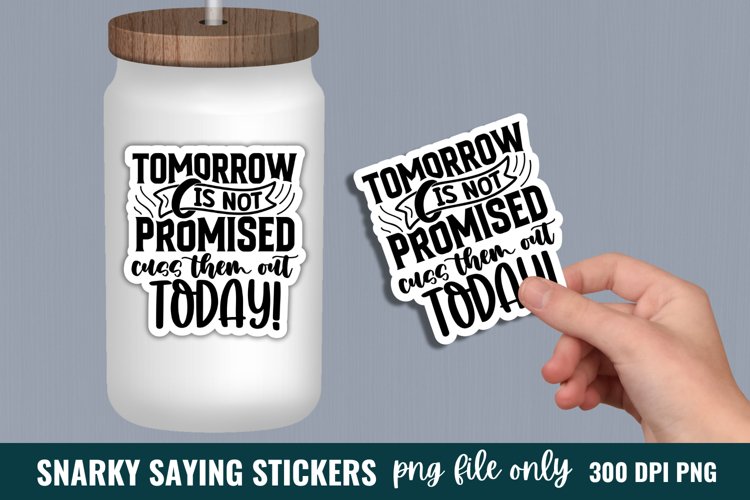 Sarcastic Quotes Sticker, Funny Sticker example image 1