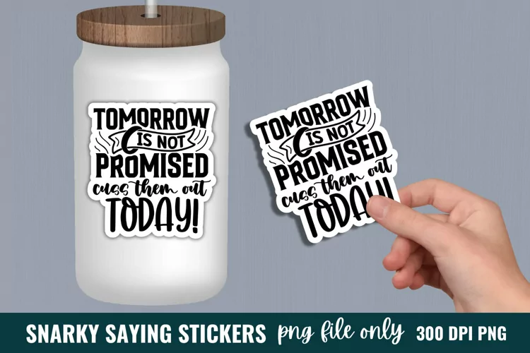 Sarcastic Quotes Sticker, Funny Sticker