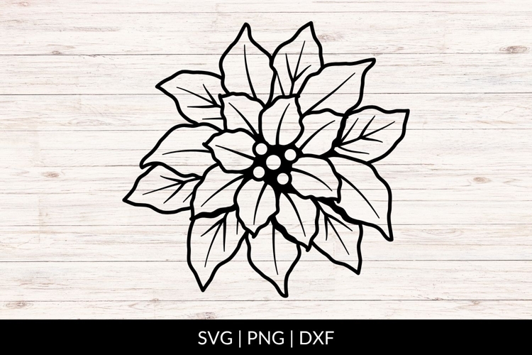Hand Drawn Poinsettia SVG