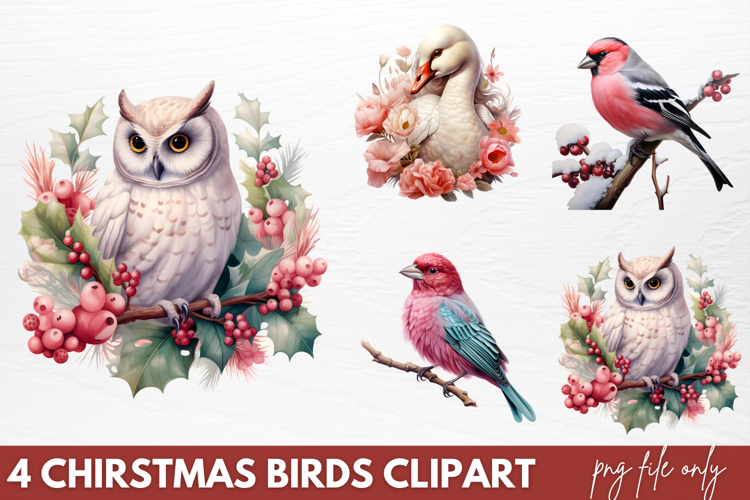 Chirstmas Birds Clipart PNG