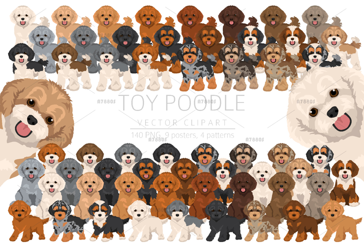 Toy poodle clipart