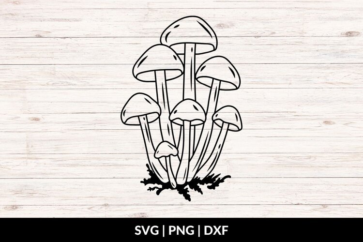 Botanical Mushrooms SVG, PNG, DXF example image 1
