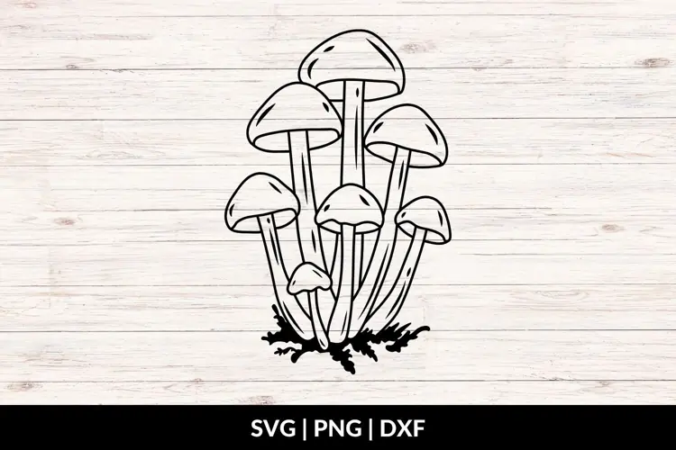 Botanical Mushrooms SVG, PNG, DXF